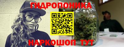 прущие крисы Краснокаменск