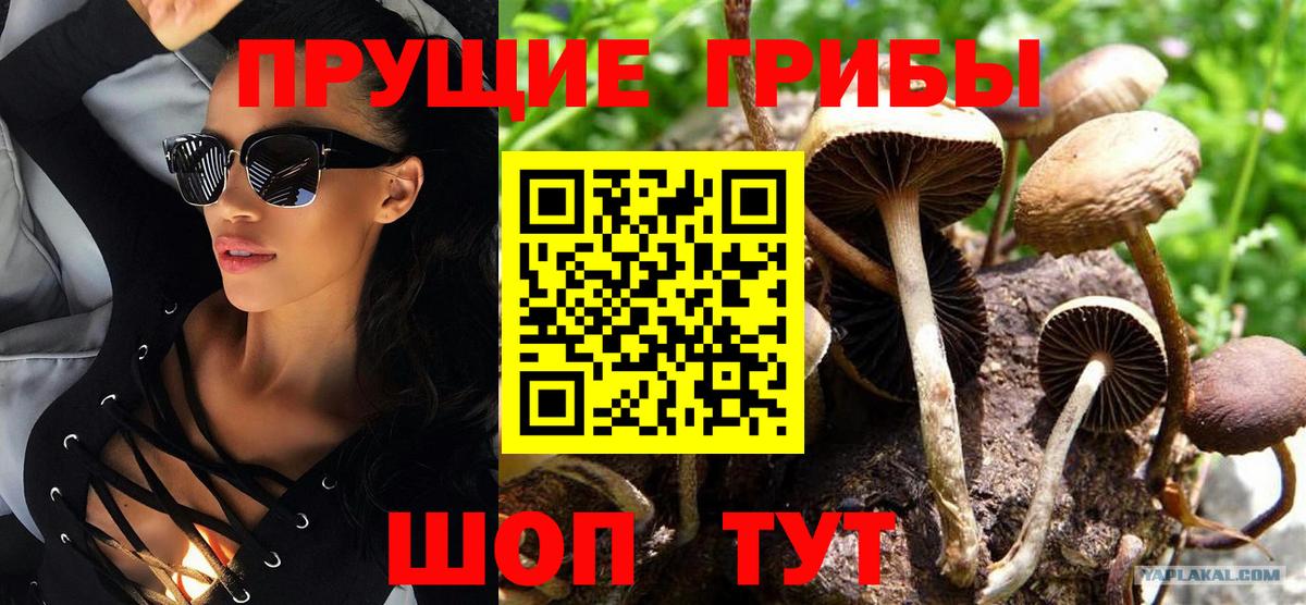 Галлюциногенные грибы Psilocybe  купить  сайты  Кольчугино  Псилоцибиновые грибы MAGIC MUSHROOMS  Вход с VPN 